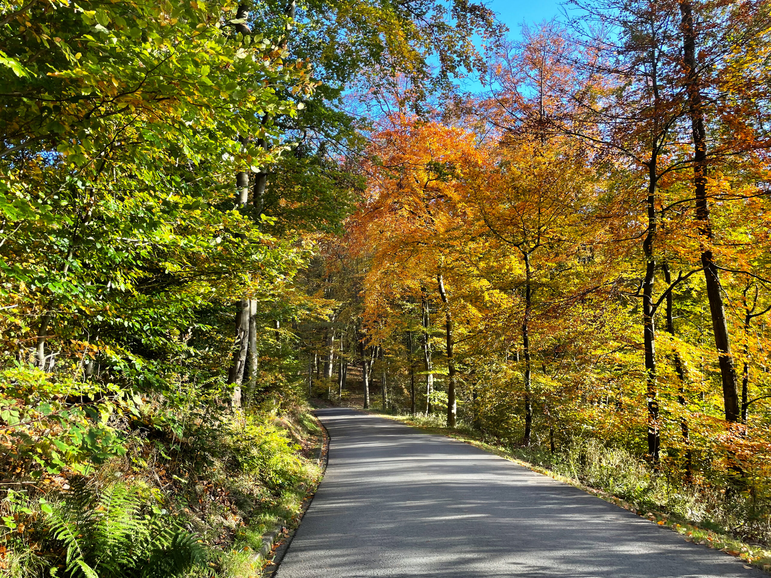 Zufahrt Informationen